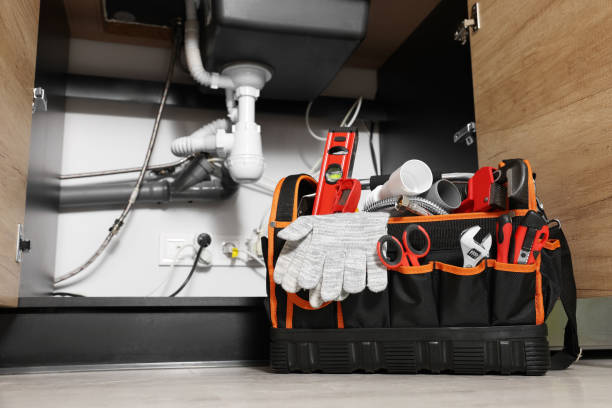 Best Commercial Plumbing Services  in Oakville, MO