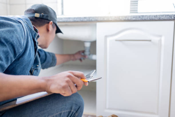 Best Affordable Plumbing Services  in Oakville, MO